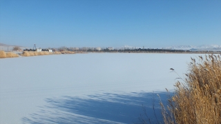 Sivas’ta Ulaş Gölü’nün yüzeyi buz tuttu