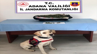 Adana’da uyuşturucu operasyonunda 2 kişi yakalandı