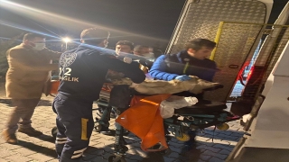 Eskişehir’de sağlık ekibi yolda yaralı bulduğu köpeği ambulansla veteriner hekime götürdü