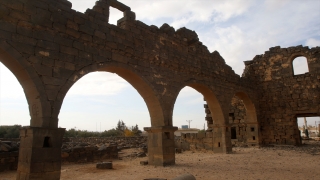 Ürdün, Kara Vaha’nın Dünya Kültür Mirası Listesi’ne alınmasını istiyor