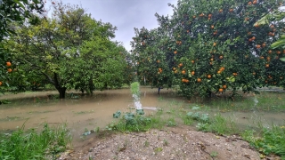 Adana’da sağanak tarım alanlarında su baskınına yol açtı 