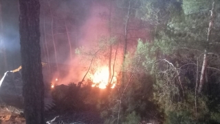 Muğla’da çıkan orman yangını söndürüldü