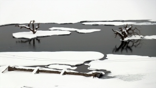Ağrı’daki Yazıcı Barajı kar ve buzla kaplandı