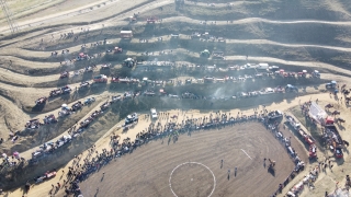 36. Sarayköy Deve Güreşi Festivali yaklaşık 100 devenin katılımıyla yapıldı