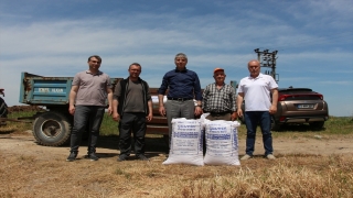 Edirne’de üreticilere 5 bin 200 kilo sertifikalı çeltik tohumu dağıtıldı