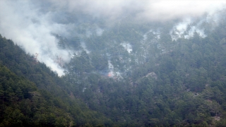 GÜNCELLEME Alanya’da çıkan orman yangınına müdahale devam ediyor