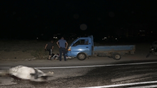 Edirne’de ata çarpan kamyonetin sürücüsü yaralandı