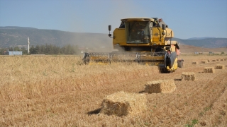 Gaziantep’te hububat hasadının ardından saman mesaisi başladı