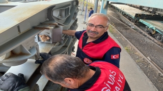 Sivas’ta vagona sıkışan kedi yavrusunu itfaiye ekipleri kurtardı