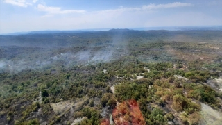 Slovenya’da çıkan orman yangınında 1000 hektarlık alan yok oldu