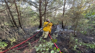 Uludağ’da çıkan orman yangını kontrol altına alındı