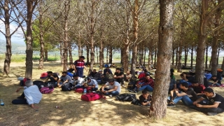 Muğla’da ormanlık alanda 81 düzensiz göçmen yakalandı