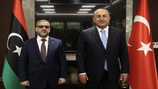  Dışişleri Bakanı Çavuşoğlu, Libya Yüksek Devlet Konseyi Başkanı Meşri ile görüştü 