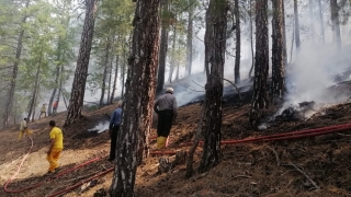 Kahramanmaraş’ta çıkan orman yangını kontrol altına alındı