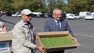 Tekirdağ’da üreticilere 125 bin sebze fidesi dağıtıldı