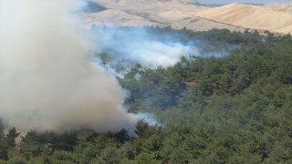 Manisa’da çıkan orman yangınına müdahale ediliyor