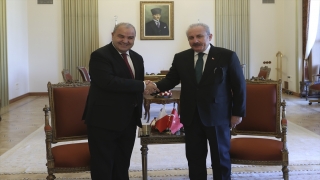 TBMM Başkanı Şentop, Malta Temsilciler Meclisi Başkanı Farrugia ile görüştü: