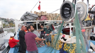 Zonguldak’ta palamut bolluğu tezgahlardaki fiyatlara yansıdı