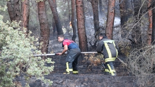 Denizli’de çıkan orman yangını kontrol altına alındı