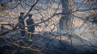 Antalya’nın Kumluca ilçesindeki orman yangını kontrol altına alındı
