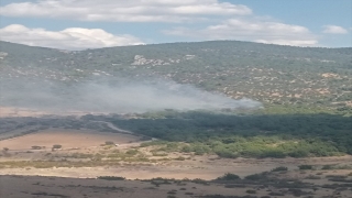 İzmir Bergama’da çıkan orman yangınına müdahale ediliyor