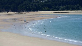 Fransa'daki plajlarda "ısıran balık" paniği