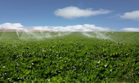 Erzurum’da 70 bin ton pancar üretimi