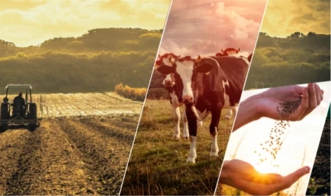 5,6 milyar TL’lik destekleme ödemeleri yapılıyor