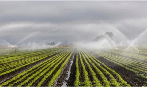 DSİ’den yapay zekâ destekli hamle