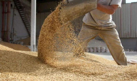 Bitkisel yağ ihracatı zirvede...