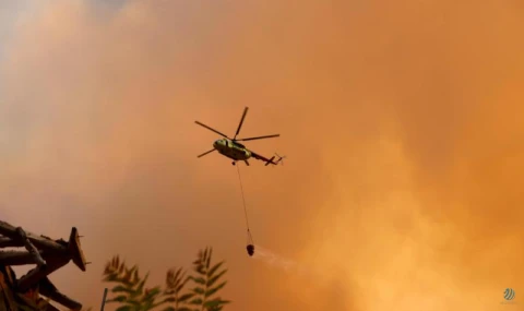 Orman yangınlarıyla mücadele sürüyor