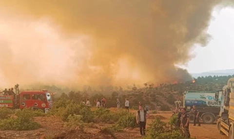 Bursa Harmancık’taki Çakmak köyü korundu!