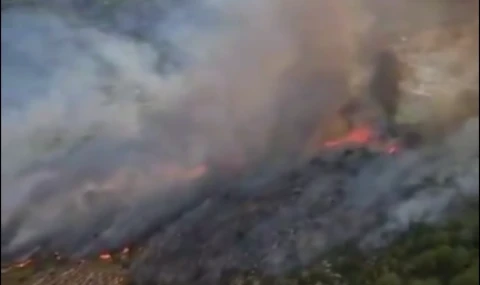 Muğla Seydikemer’de orman yangını