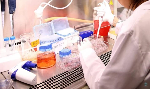 Hücreleri genç kalmaları için kandıran besin moleküllerini keşfedildi