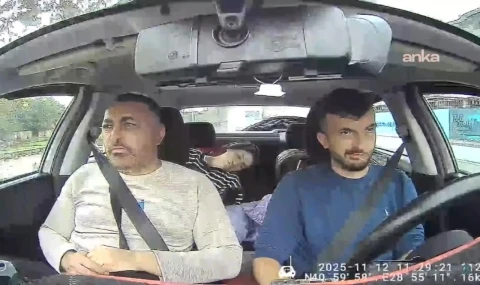 Böcek ailesinin ölüm sebebi belli oldu