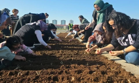 Diyarbakır Tıbbi ve Aromatik Bitkiler Atölyesi’nde safran ekimi