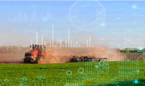 TÜİK 2025 bitkisel üretim verilerini açıkladı... Üretimde genel düşüş yaşandı