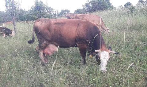 Çok sayıda mahalle ve köy karantinada