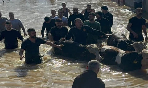 Sel'de mahsur kalan 44 vatandaş ve 127 hayvan tahliye edildi