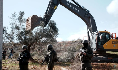 Terör devleti İsrail, Batı Şeria'da ağaçları da katletmeye başladı