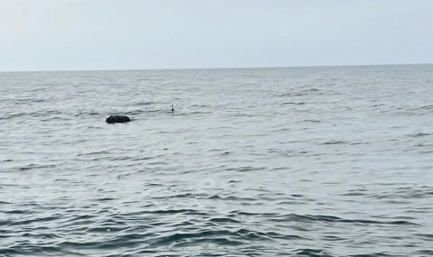 Karadeniz’deki şüpheli mayın SAS timlerince imha edildi!