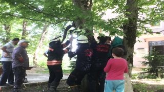 Evinin bahçesinde oynarken bacağı ağacın gövdesine sıkışan kız çocuğu kurtarıldı