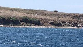 Ayvalık açıklarında Türk kara sularına itilen 57 sığınmacı kurtarıldı