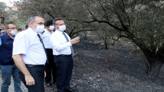 Aydın Valisi Aksoy, yanan tarım arazilerini inceledi