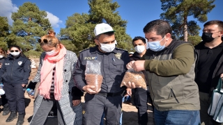 Kars’ta polis ve vatandaş el ele yaban hayatı için meyve tohumu ekti