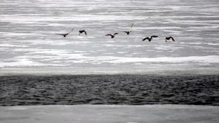Çıldır Gölü’nü kaplayan buz tabakası kısmen eriyip parçalandı