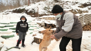 Kastamonu’da başını plastik boruya sıkıştıran köpeği vatandaşlar kurtardı
