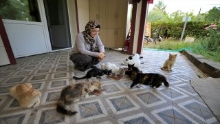 Elazığ’da belediye başkanı ”can dostlara” anne şefkatiyle bakıyor