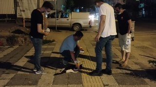 Kocaeli’de otomobilin çarptığı kediye hayvansever gençten şefkat eli