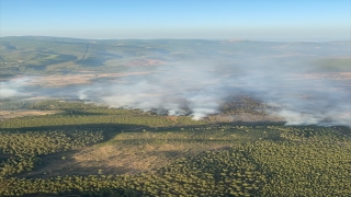 Muğla’nın Kavaklıdere ilçesindeki orman yangınına müdahale sürüyor
